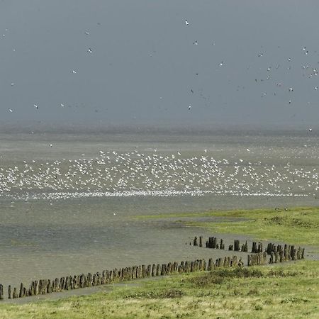 Bellemare Bungalow Lauwersmeer Mit Ueberdachte Veranda Und Eingezaeuntem Garten Anjum Екстериор снимка